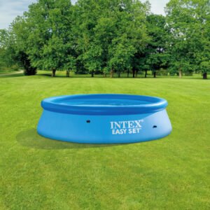Easy Set 10′ x 30″ Inflatable Pool